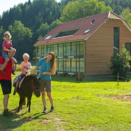 Landhotel Weihermuehle Thaleischweiler-Froschen エクステリア 写真