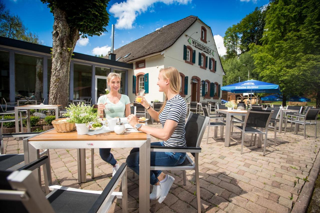 Landhotel Weihermuehle Thaleischweiler-Froschen エクステリア 写真