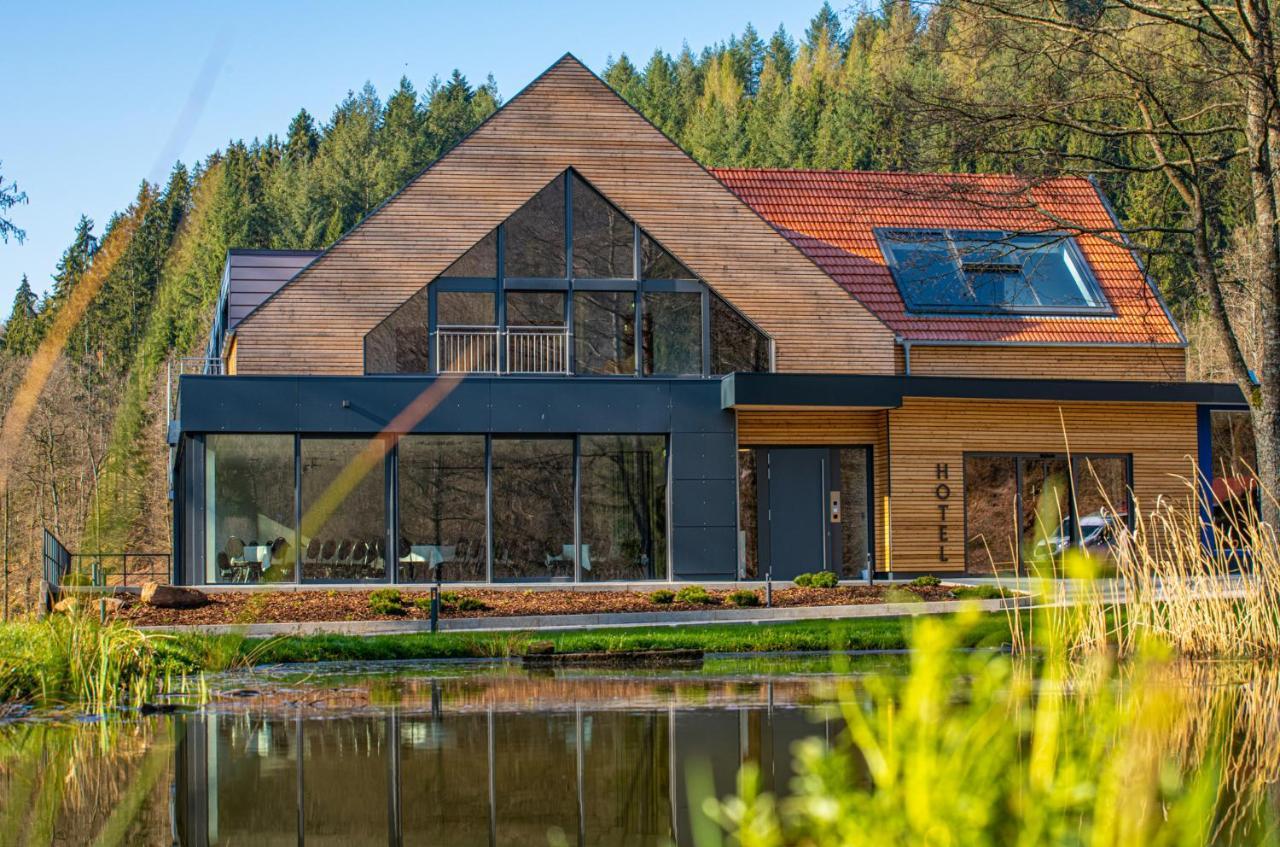 Landhotel Weihermuehle Thaleischweiler-Froschen エクステリア 写真