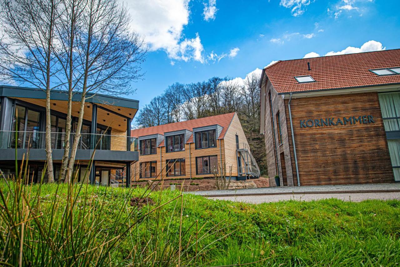 Landhotel Weihermuehle Thaleischweiler-Froschen エクステリア 写真