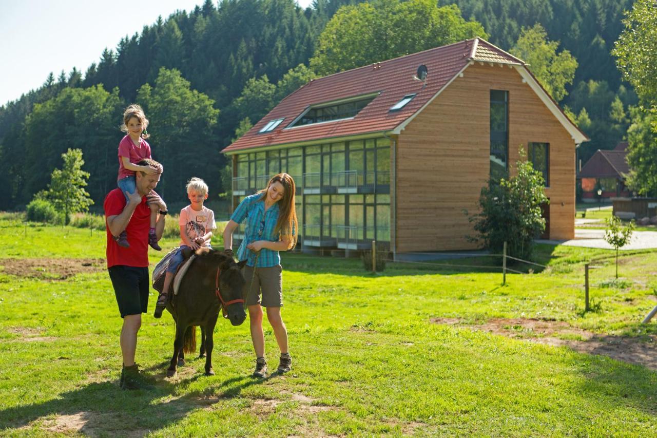 Landhotel Weihermuehle Thaleischweiler-Froschen エクステリア 写真