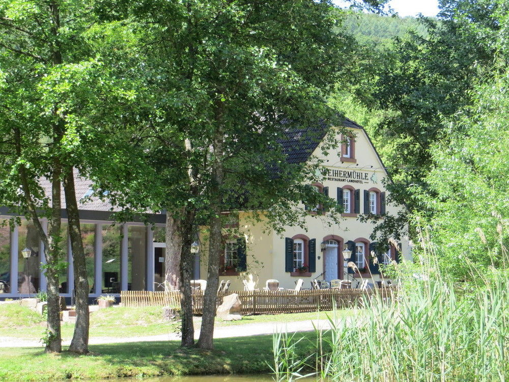 Landhotel Weihermuehle Thaleischweiler-Froschen エクステリア 写真