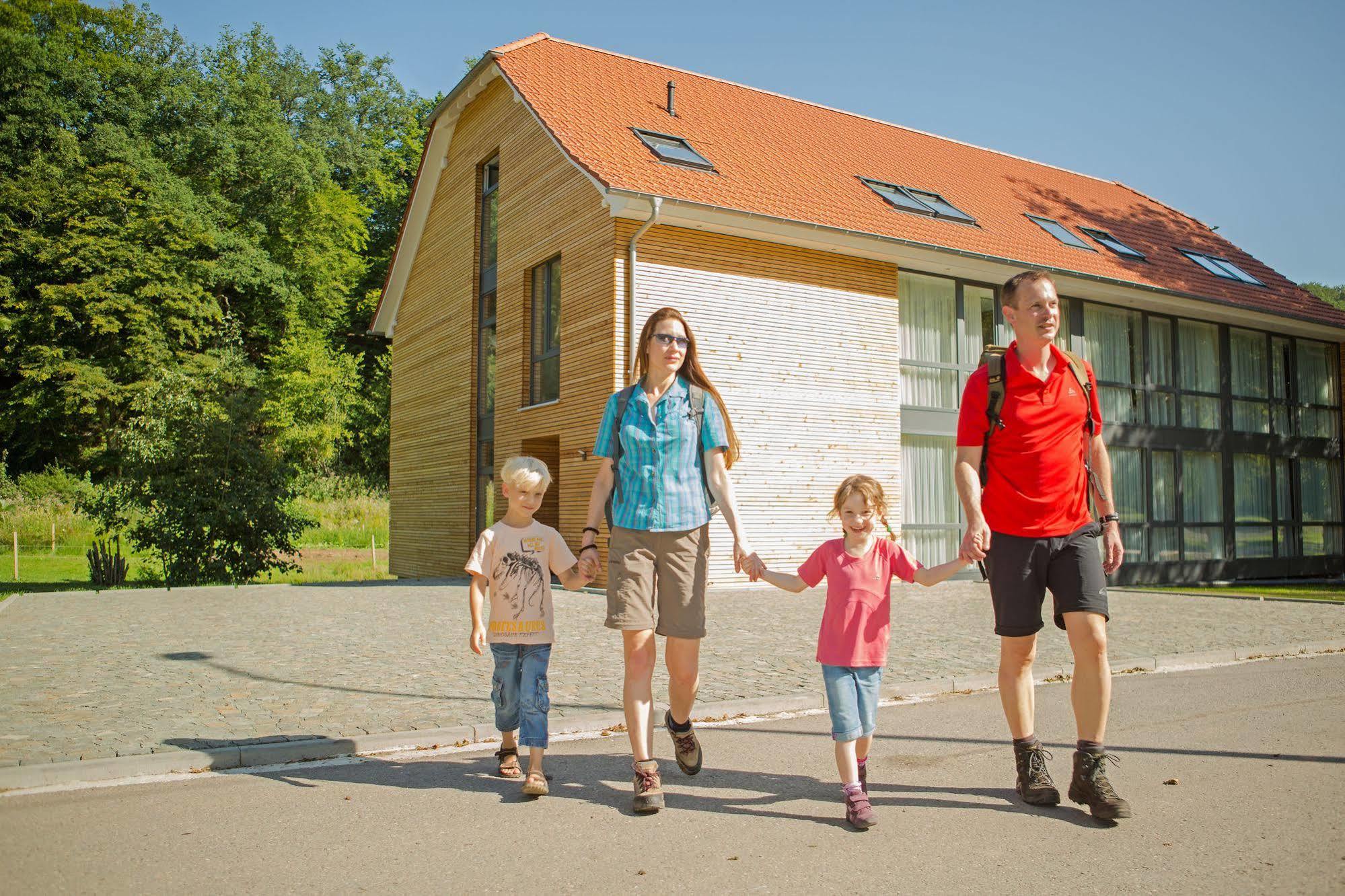 Landhotel Weihermuehle Thaleischweiler-Froschen エクステリア 写真